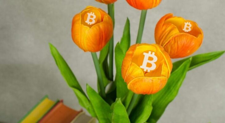 O Que foi a Tulipomania? Bitcoin é Uma Bolha?
