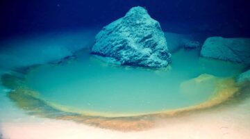 Raras piscinas de salmoura do fundo do mar descobertas no Mar Vermelho